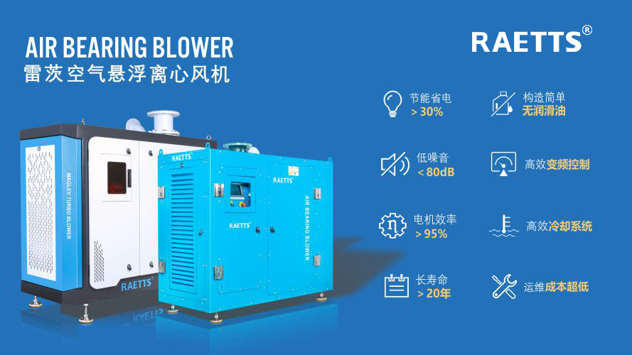 1740969713149137.jpg 11.jpg